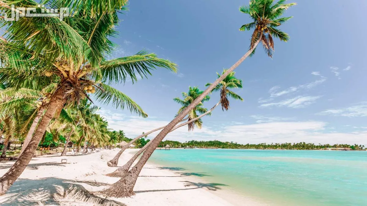 ما هي أفضل الدول السياحية وارخصها في 2025 وتكلفة الإقامة؟ أفضل الدول السياحية وارخصها