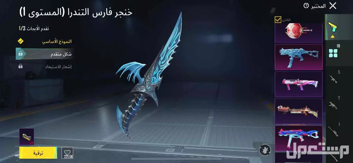 ببجي  في احد رفيدة بسعر 500 ريال سعودي