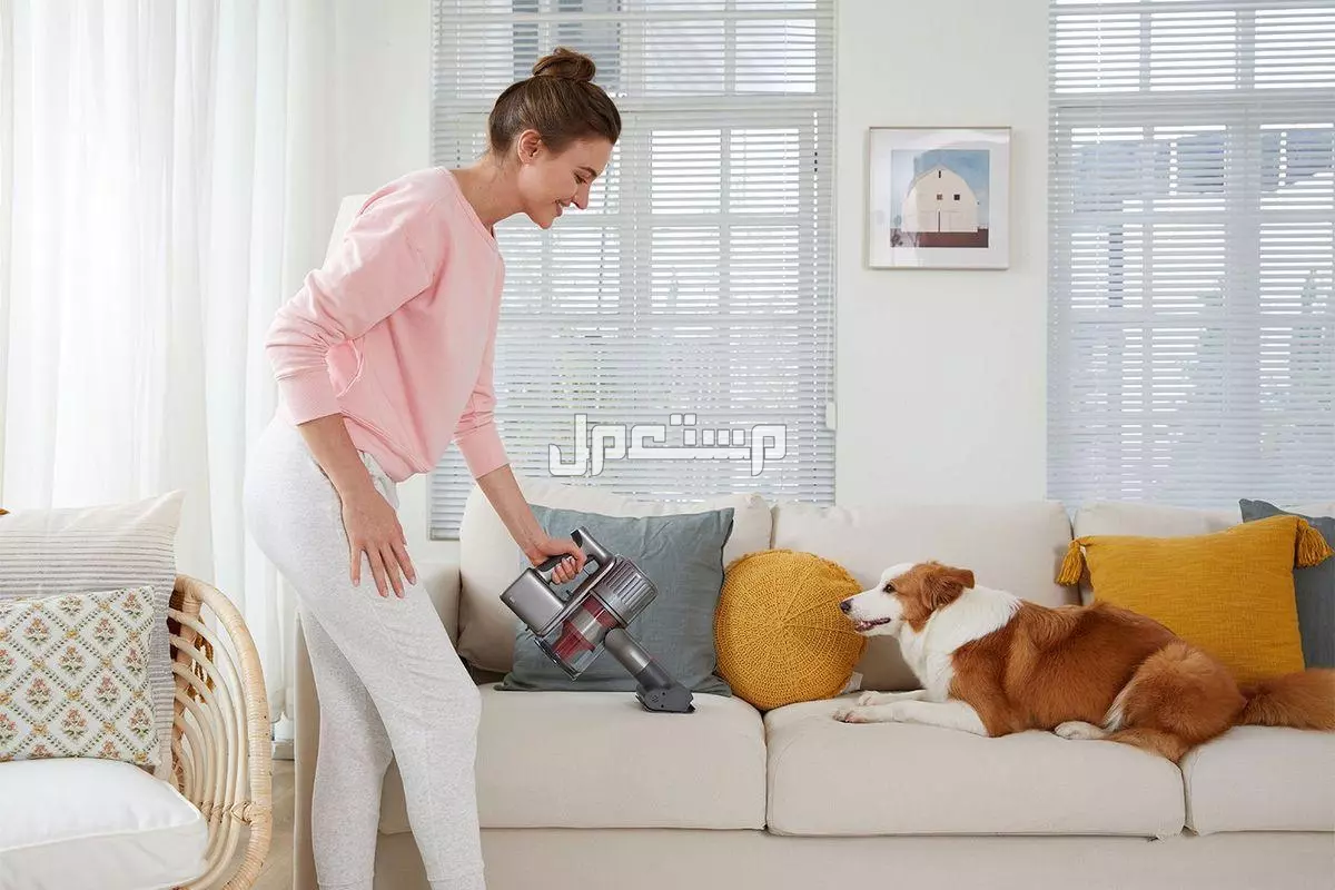 أنواع حشرات المنزل الصغيرة بالصور والأسماء وكيفية التخلص منها