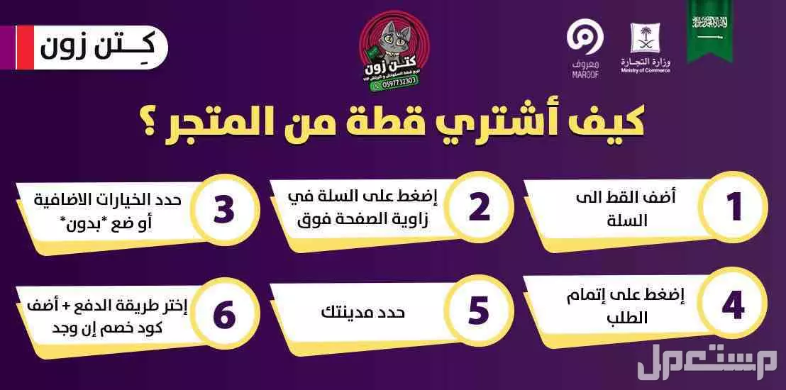 قطة سكوتش ستريت وفولد للبيع - لون قولد - يوجد دفع بالتقسيط
