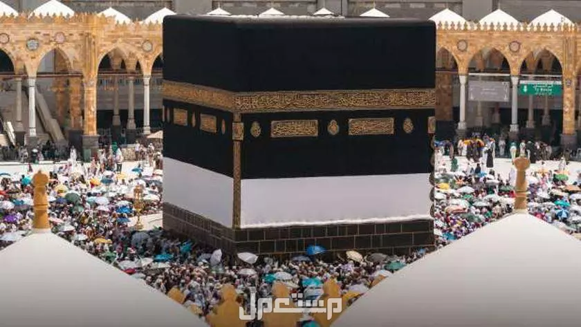 خريطة أبواب الحرم المكي 2025.. صور مخطط المسجد الحرام كم عدد الأبواب في الحرم المكي؟