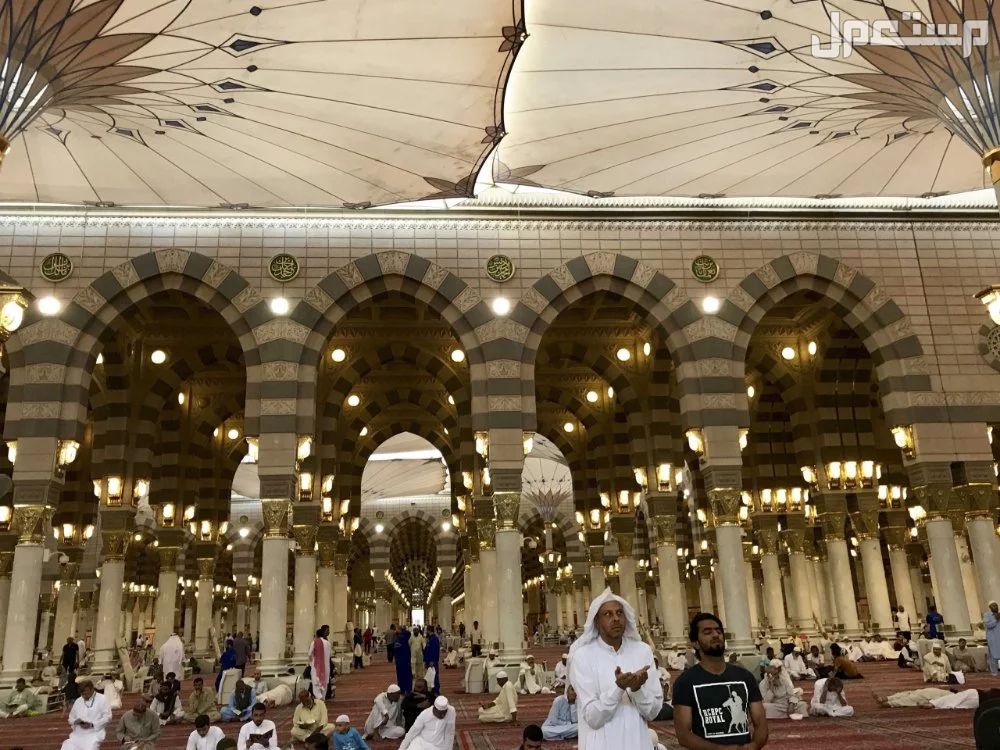 تفسير حلم الصلاة في المسجد النبوي للرجل والمرأة العزباء تفسير رؤية المسجد النبوي في المنام للرجل