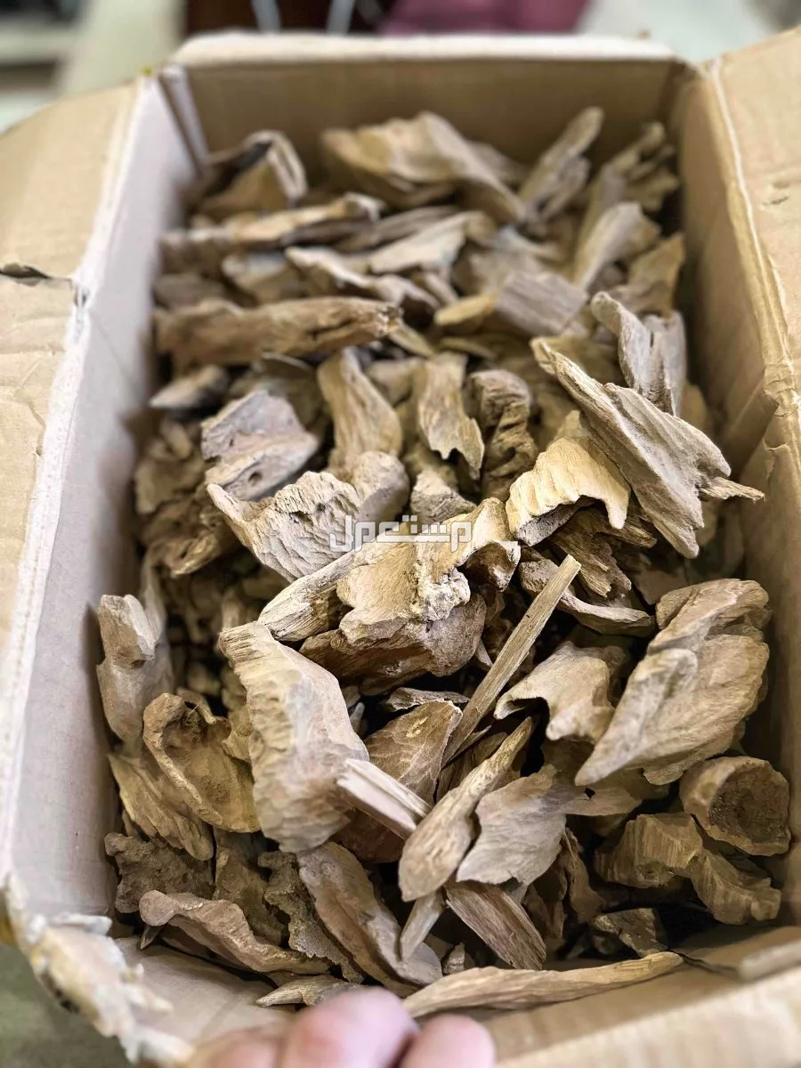 للبيع عود مروكي طبيعي فاخر في الدمام بسعر 3800 ريال سعودي