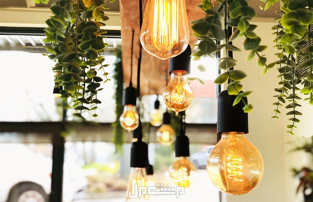 أنواع لمبات LED للمنازل.. 5 مصابيح ليد موفرة للطاقة - مستعمل