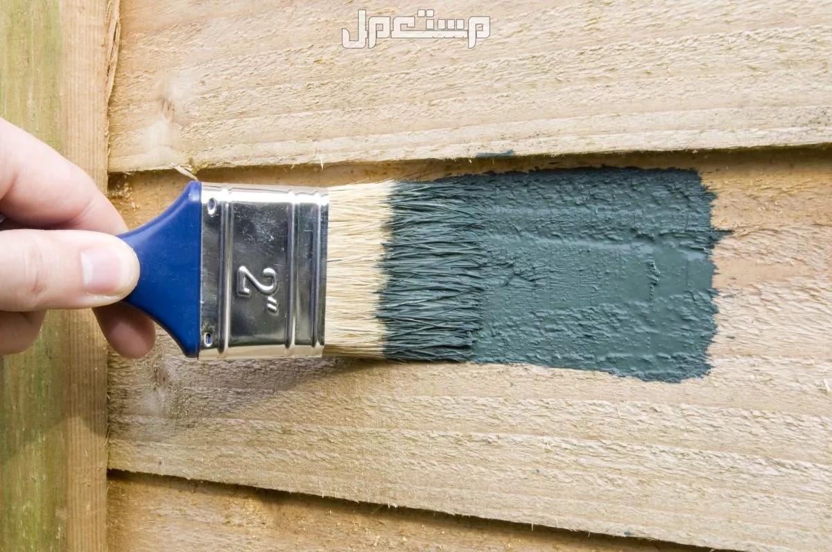 كتالوج الوان دهانات الخشب 2025 وكيفية تنسيقه مع الديكور كيفية اختيار ألوان دهان الخشب