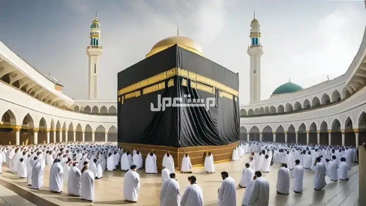 التقديم في خدمة الحجاج 2025 للرجال والنساء.. الموعد والشروط الشروط المطلوبة للتقديم في خدمات الحج 2025