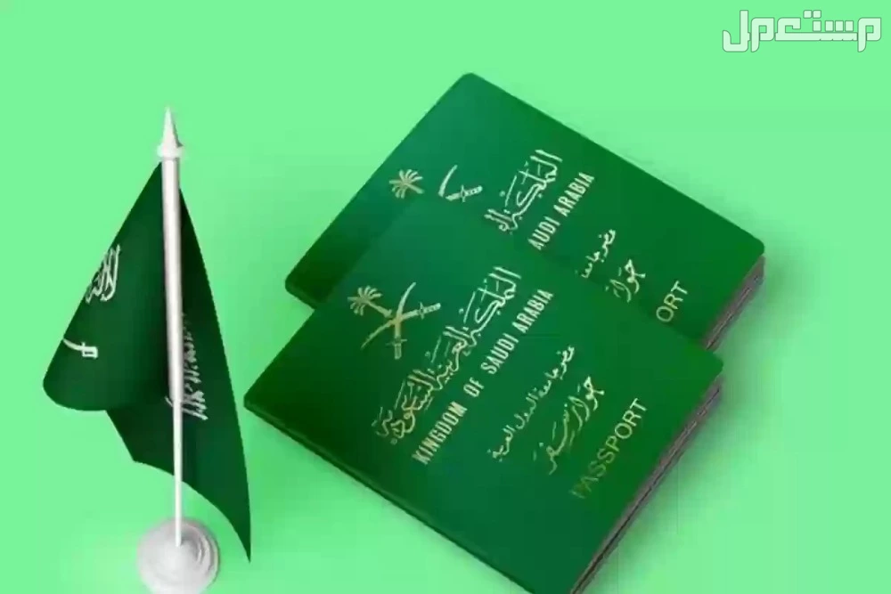 تعرف على غرامة انتهاء تأشيرة العمرة 2025 في السعودية التقدم للحصول على تأشيرة العمرة