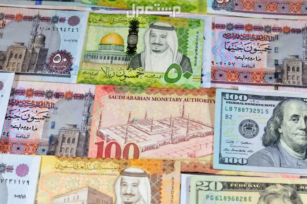 كيفية التقديم على قرض الضمان الاجتماعي 1446 بدون كفيل