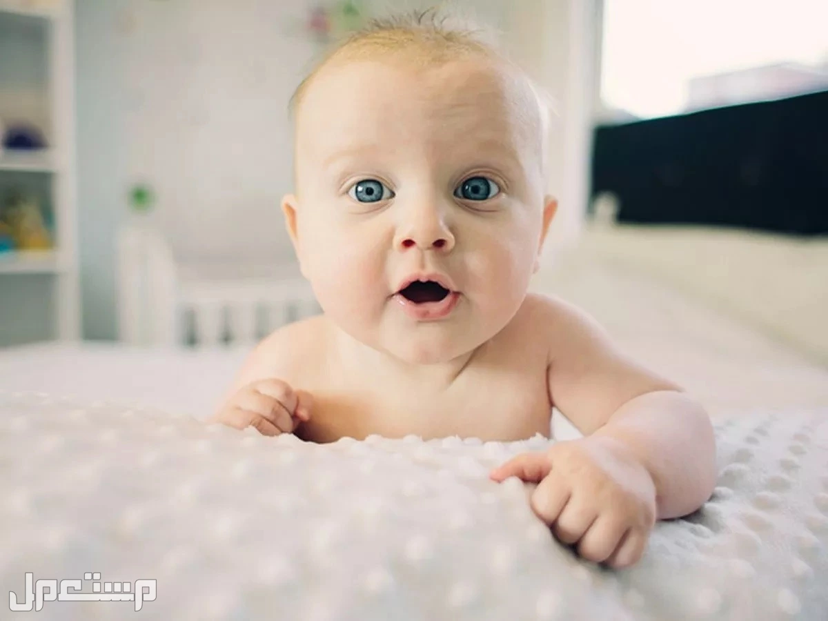 ﻿﻿أجمل عبارات تهنئة للمولود الجديد ذكر أو انثى.. تهاني مواليد مع صور تهنئة مولود جديد