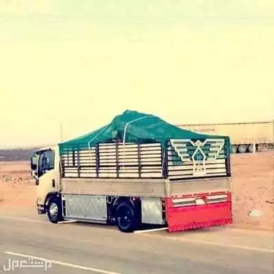 طش عفش قديم بالرياض تخلص من اثاث القديم بالرياض اخذ الاثاث مستعمل بالرياض