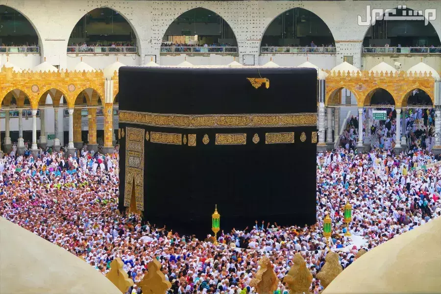 تفاصيل خطة موسم الحج 2025: دليل شامل للمناسك والتنظيم والخدمات كل ما يخص موسم الحج 2025