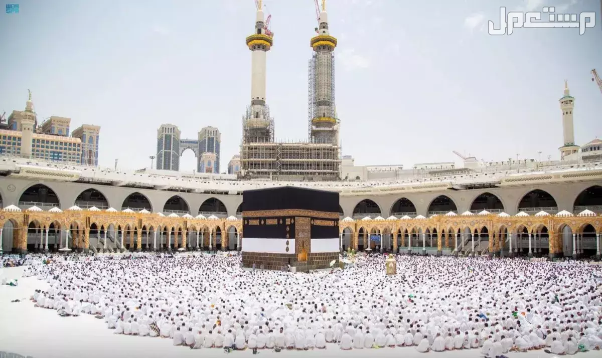 تفاصيل خطة موسم الحج 2025: دليل شامل للمناسك والتنظيم والخدمات الاستعلام عن نتيجة الحج السياحي 2025