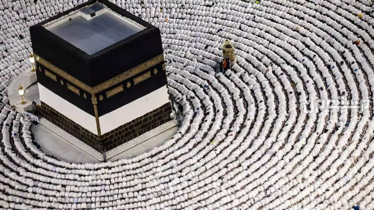 تفاصيل خطة موسم الحج 2025: دليل شامل للمناسك والتنظيم والخدمات موسم الحج 2025 - 1446