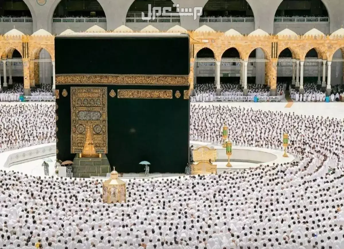 تفاصيل خطة موسم الحج 2025: دليل شامل للمناسك والتنظيم والخدمات أسعار تطعيمات الحج 1446