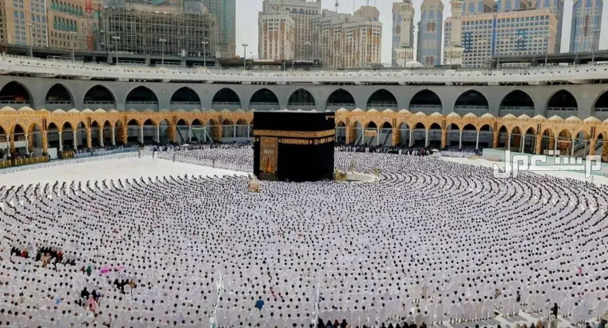 تفاصيل خطة موسم الحج 2025: دليل شامل للمناسك والتنظيم والخدمات استخراج تأشيرات الحج 2025