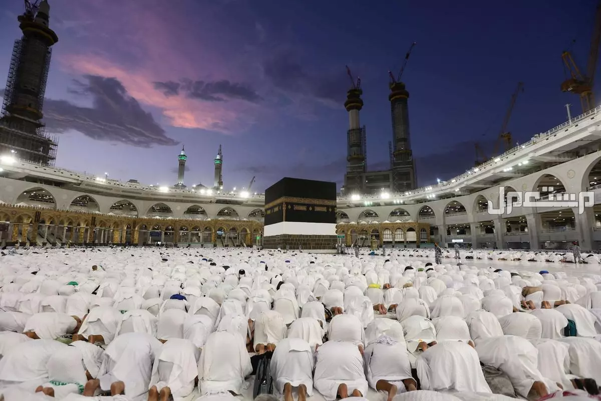 تفاصيل خطة موسم الحج 2025: دليل شامل للمناسك والتنظيم والخدمات فئات ممنوعة من الحج 1446