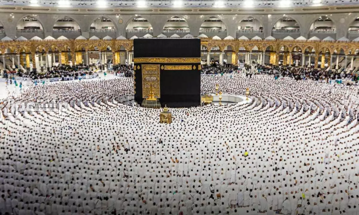 تفاصيل خطة موسم الحج 2025: دليل شامل للمناسك والتنظيم والخدمات أسعار الحج 1446