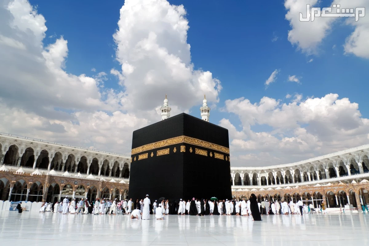 تفاصيل خطة موسم الحج 2025: دليل شامل للمناسك والتنظيم والخدمات شروط حج 2025