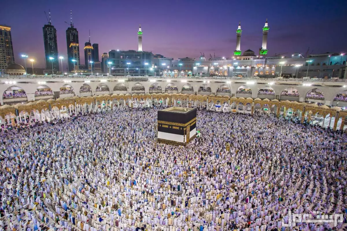 تفاصيل خطة موسم الحج 2025: دليل شامل للمناسك والتنظيم والخدمات تأشيرات خدمات الحجاج 1446