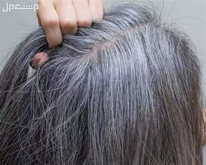 أقوى صبغة للشعر الأبيض 2025 والاسعار كاملة صبغات شعر طبيعية للشعر الأبيض تدوم طويلًا