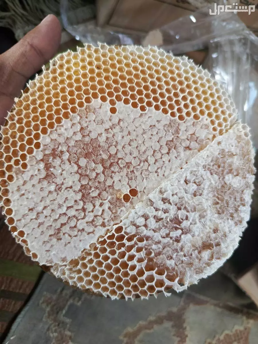 عسل سدر دوعني درجه اولى من المنحل توه وصل من حضرموت