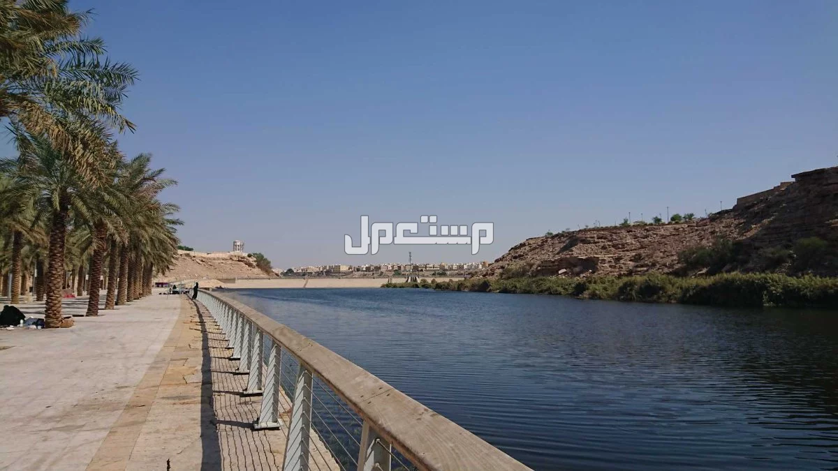أجمل 5 بحيرات في السعودية 2025 تجربة ساحرة لعشاق الطبيعة أفضل وقت لزيارة البحيرات في السعودية