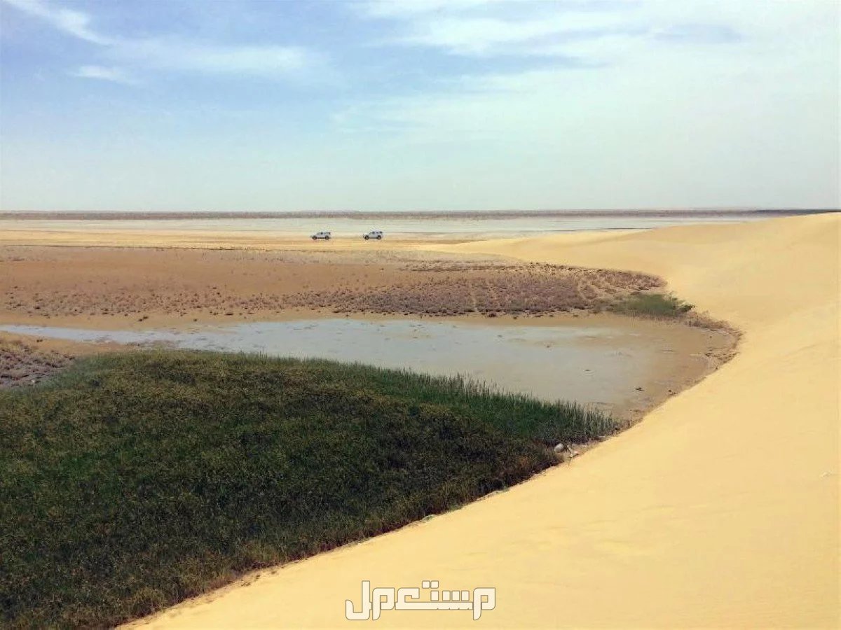 أجمل 5 بحيرات في السعودية 2025 تجربة ساحرة لعشاق الطبيعة أجمل 5 بحيرات في السعودية 2025