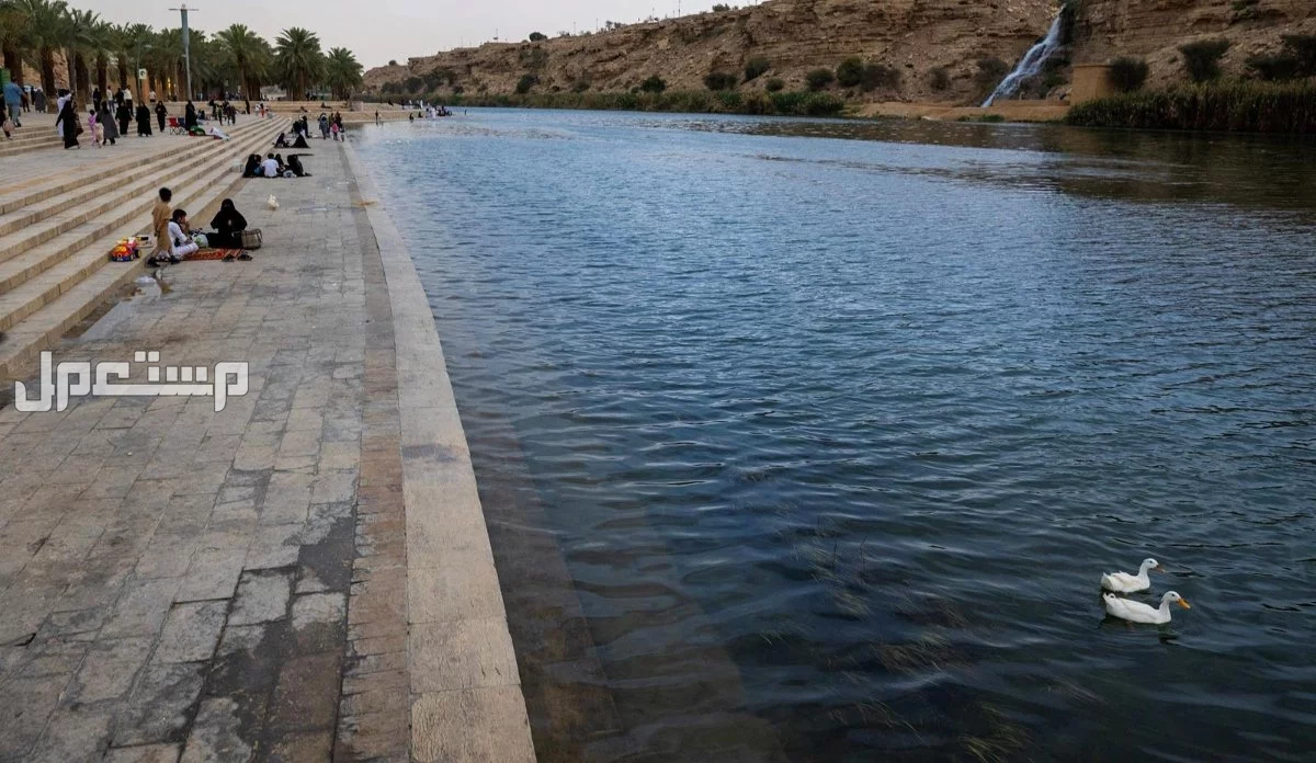 أجمل 5 بحيرات في السعودية 2025 تجربة ساحرة لعشاق الطبيعة البحيرات بالسعودية