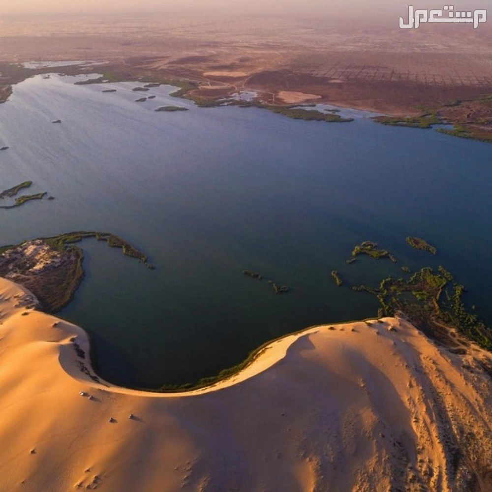 أجمل 5 بحيرات في السعودية 2025 تجربة ساحرة لعشاق الطبيعة بحيرة الأصفر الهادئة