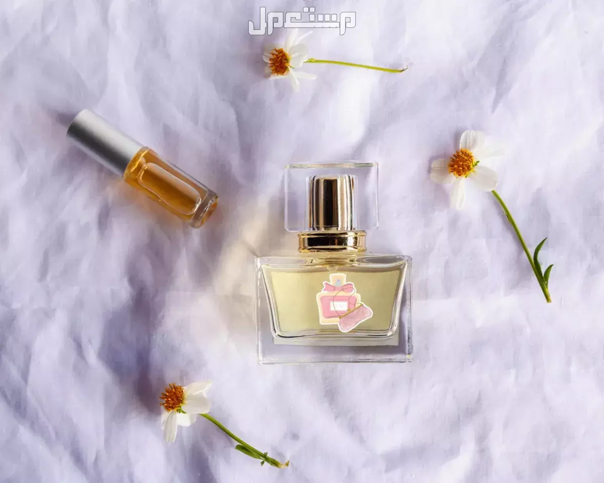 الفرق بين العطر الصيفي والشتوي وخصائص كل منهما أفضل عطور صيفية وشتوية