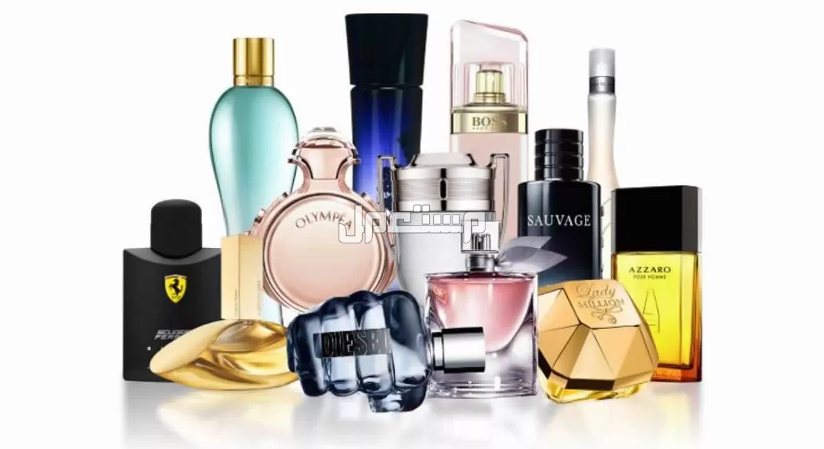 الفرق بين العطر الصيفي والشتوي وخصائص كل منهما اختيار العطر حسب الموسم: صيفي وشتوي