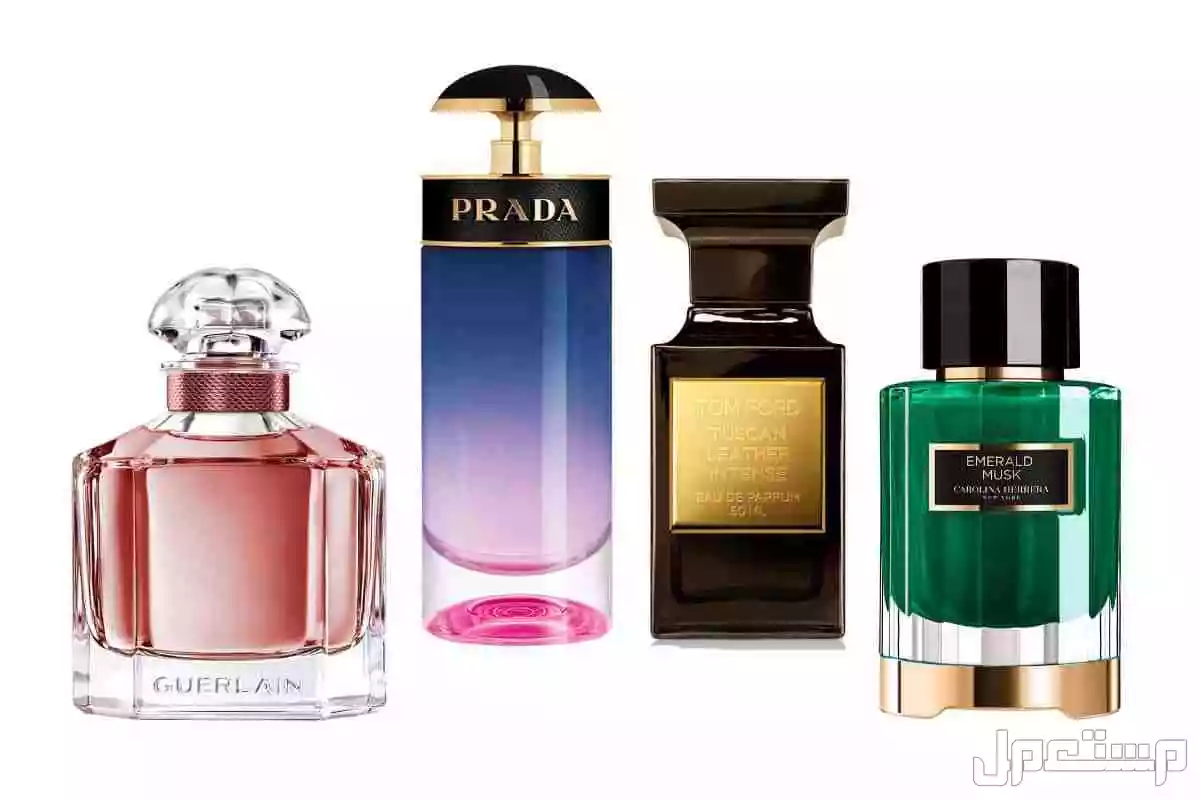 الفرق بين العطر الصيفي والشتوي وخصائص كل منهما الفرق بين العطر الصيفي والشتوي
