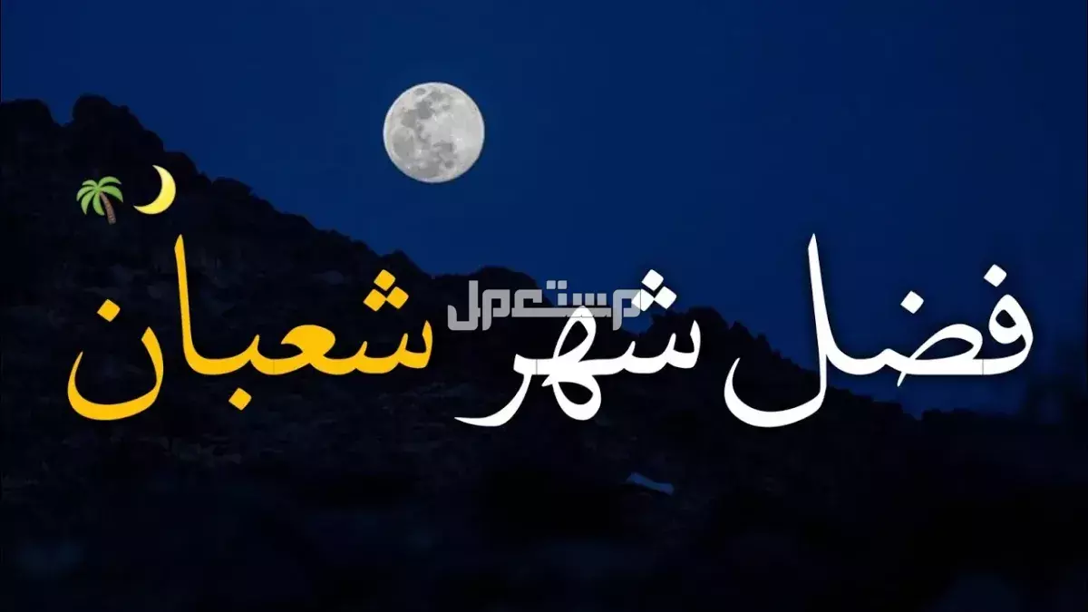 فضل شهر شعبان والأعمال المستحبة فيه.. 4 عبادات تمحو الذنوب ما هو فضل شهر شعبان؟