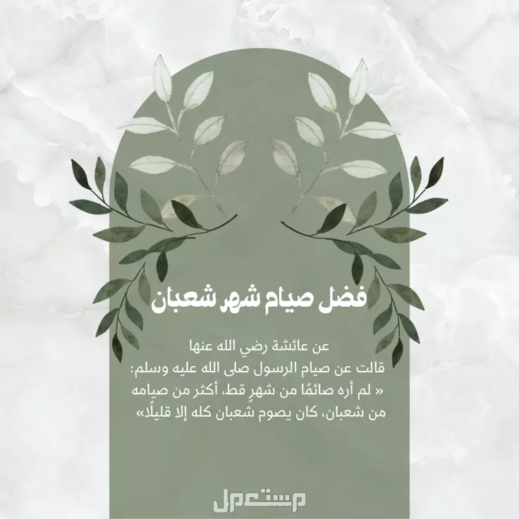 أذكار شهر شعبان 1446.. كلمات تفتح أبواب الرحمة والمغفرة