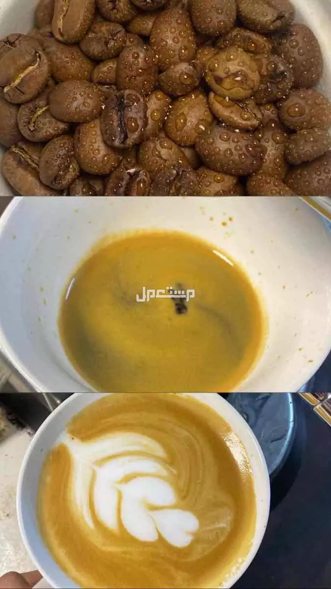 الة ديولنجي ماكينة صنع قهوة اسبريسو