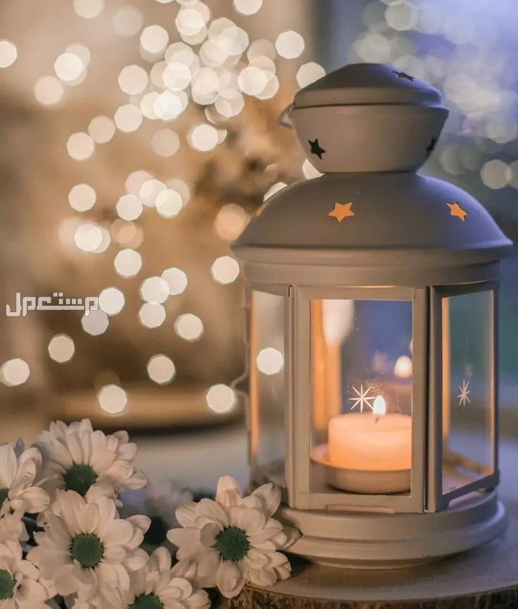 أفضل دعاء غرة شهر رمضان 2025.. بداية مباركة لشهر الرحمة والمغفرة عبارات تهنئة برمضان