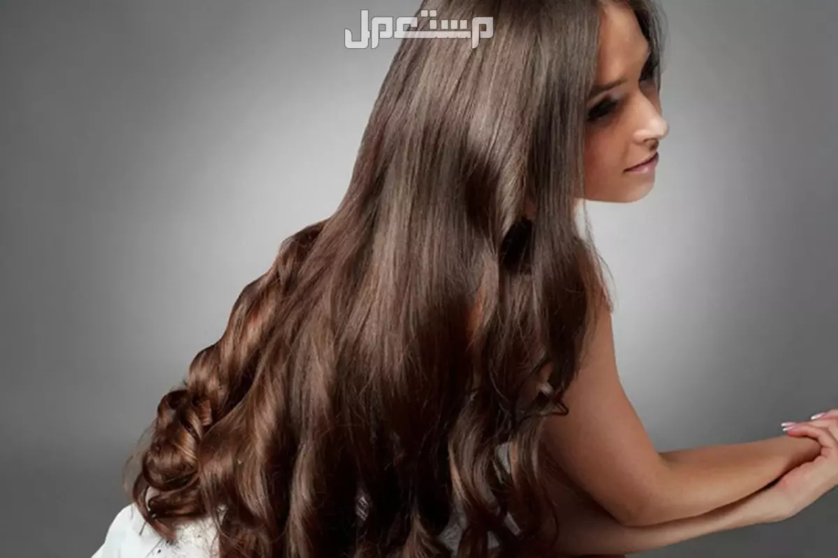 الشعر الطويل في المنام للرجل والعزباء تفسير حلم الشعر الطويل في المنام لابن سيرين