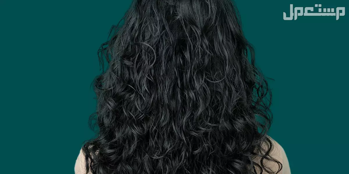 الشعر الطويل في المنام للرجل والعزباء رؤية الشعر الطويل في المنام للمتزوجة لابن سيرين