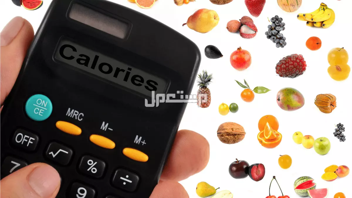 أسهل طريقة حساب السعرات الحرارية المطلوبة للجسم طريقة حساب السعرات الحرارية المطلوبة للجسم