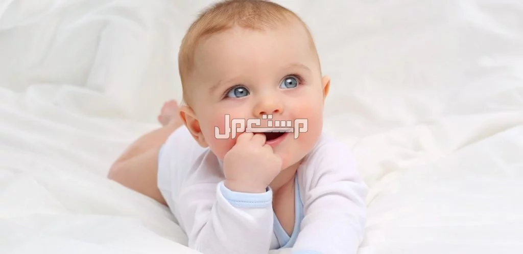 متى تتضح الرؤية عند الرضيع؟.. وكيفية اختبار البصر وفحصه مراحل وضوح الرؤية للرضع