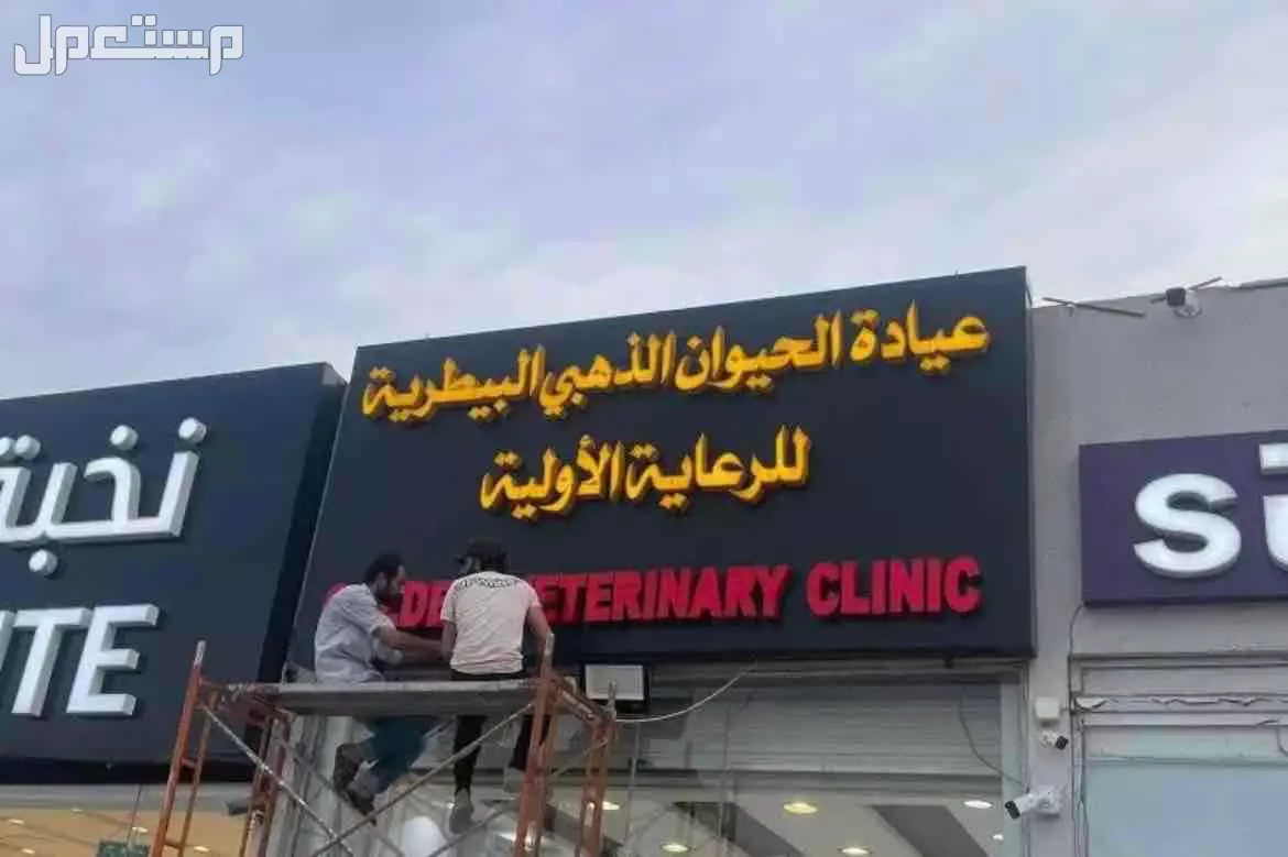 خطاط in Buraydah at a price of 500 SAR