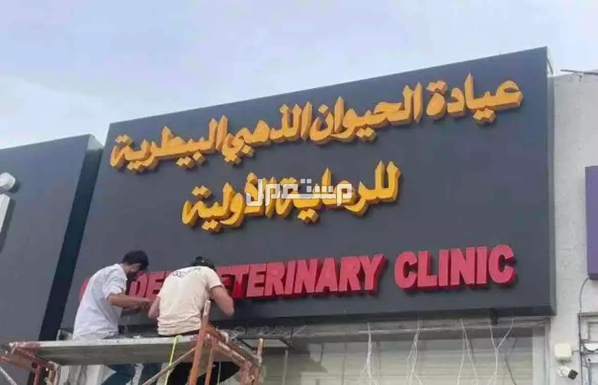 خطاط in Buraydah at a price of 500 SAR