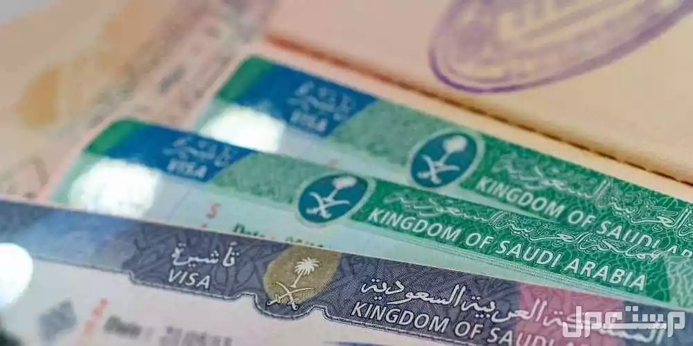 كيفية تجديد الهوية وتمديد التأشيرات إلكترونيا 1446