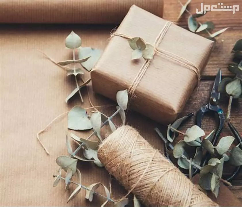 أفضل أفكار هدايا للطلاب المتفوقين: خيارات مميزة بأسعار مناسبة أفكار هدايا تحفيزية للطلاب المتفوقين