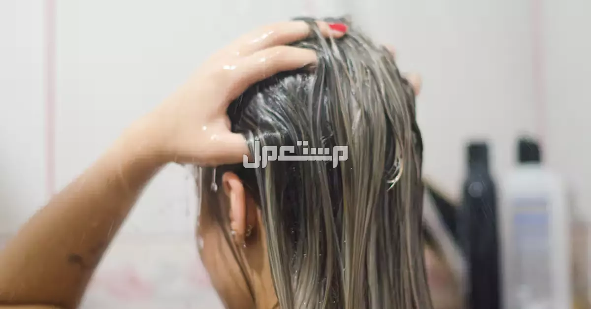 أفضل ماسك طبيعي للشعر الجاف والمنفوش قبل الاستحمام أفضل ماسك طبيعي للشعر الجاف والمنفوش