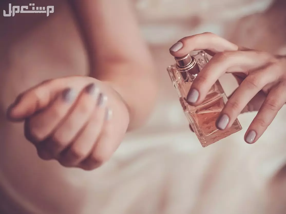 قائمة بأهم وأفضل 10 عطور نسائية 2025 أفضل العطور النسائية 2025
