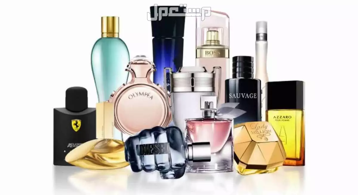 قائمة بأهم وأفضل 10 عطور نسائية 2025 أجمل العطور النسائية 2025