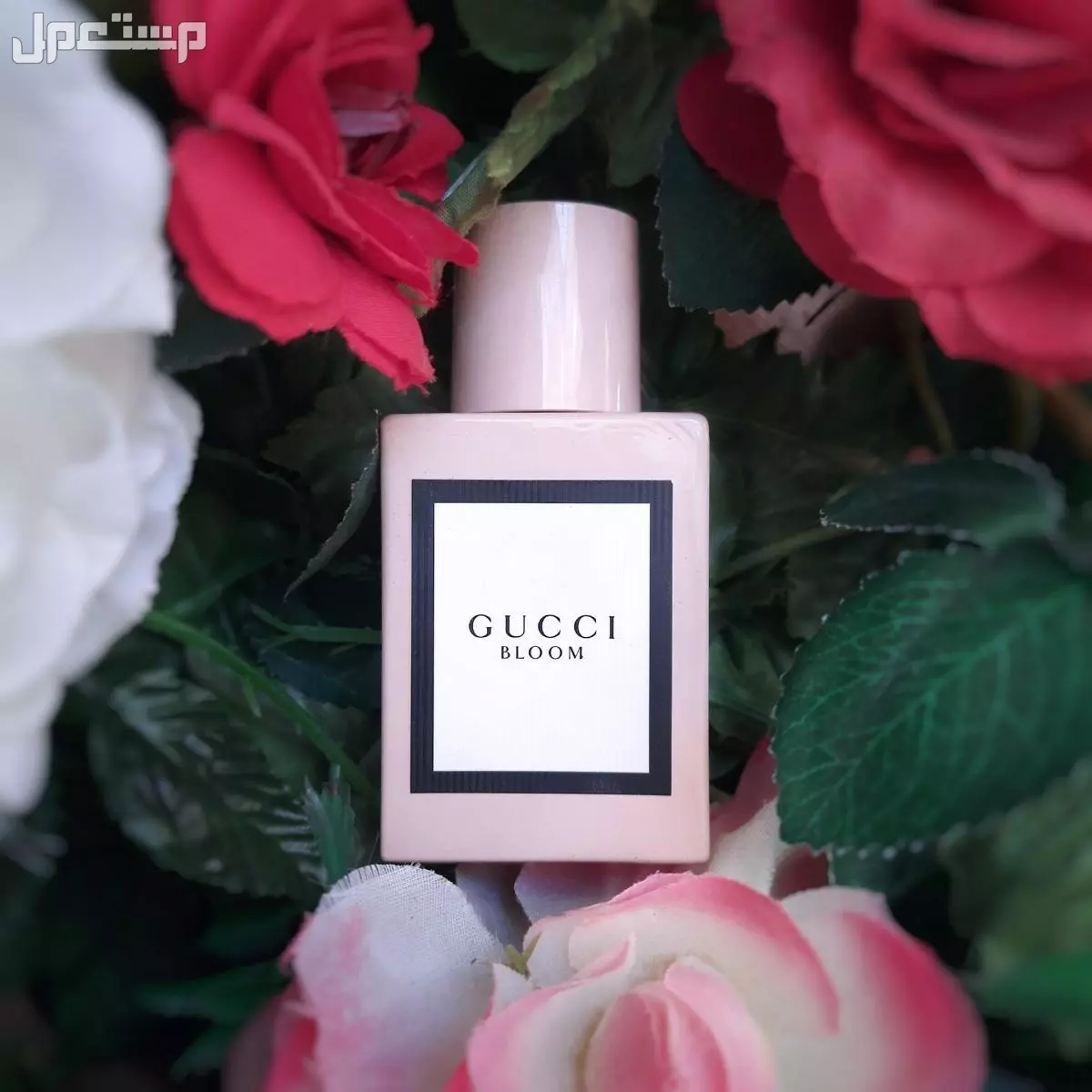 قائمة بأهم وأفضل 10 عطور نسائية 2025 عطور نسائية راقية 2025