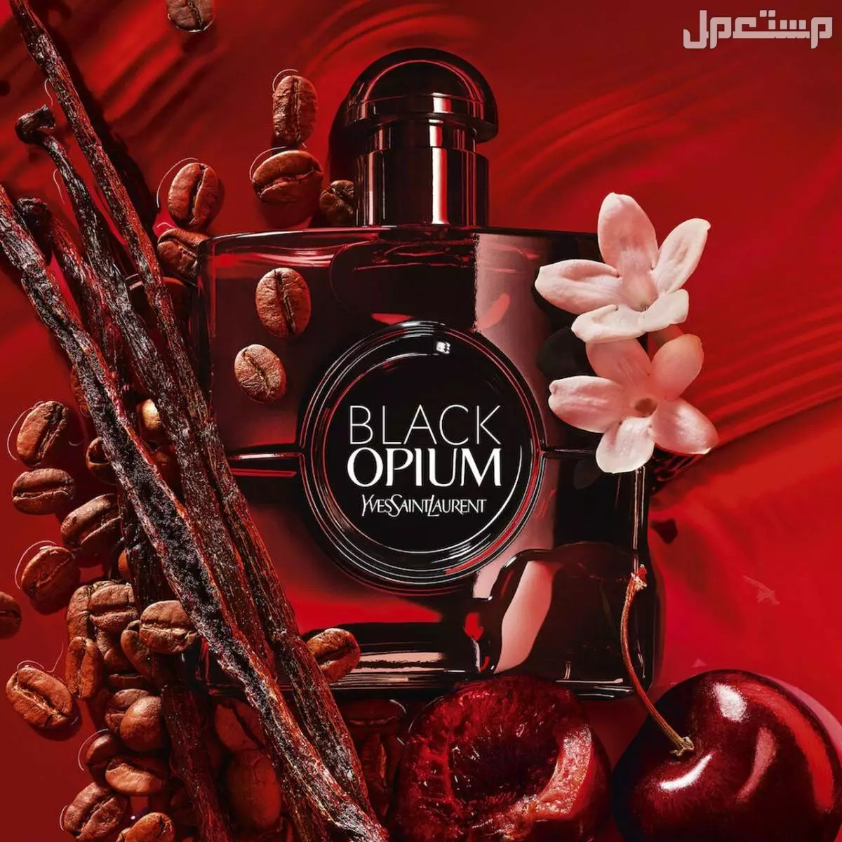 قائمة بأهم وأفضل 10 عطور نسائية 2025 عطور نسائية دافئة 2025