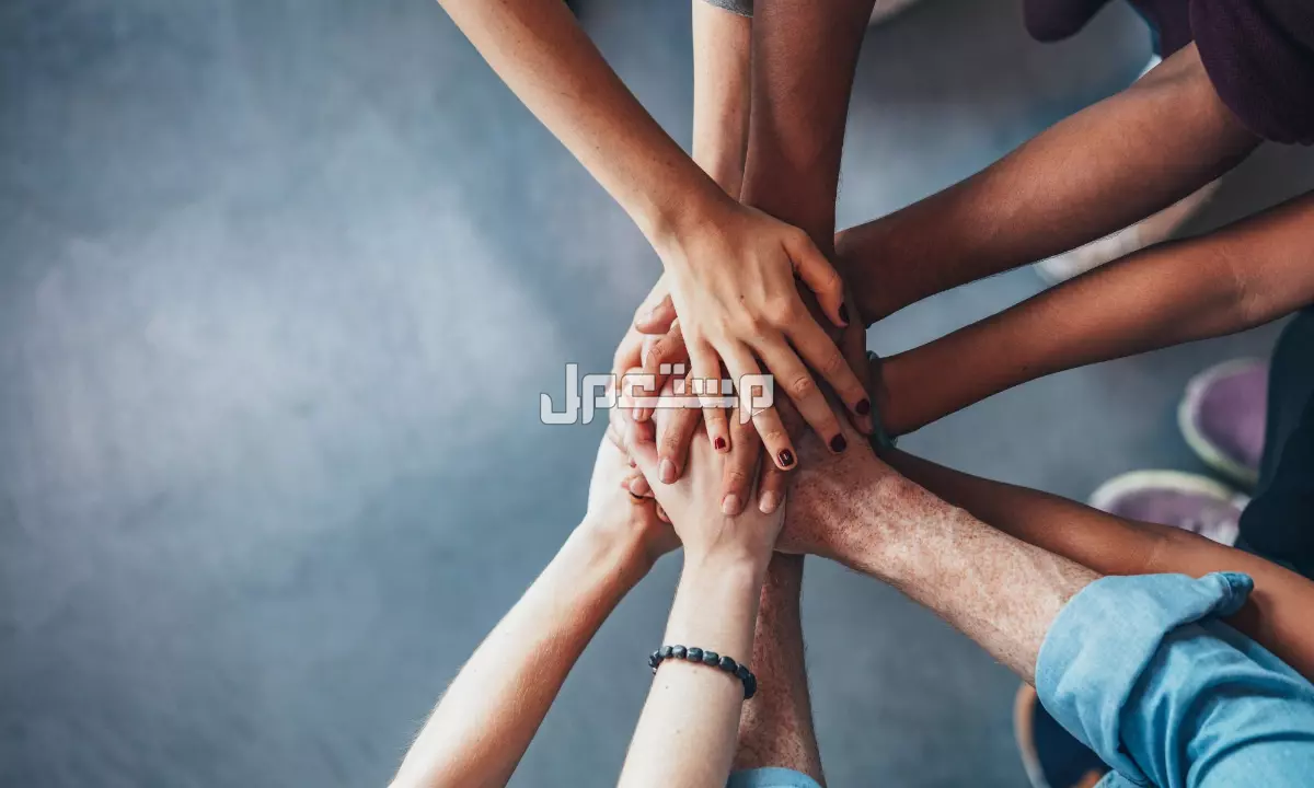 أفضل 50 عبارة شكر وتقدير للأصدقاء قصيرة كلمة شكر وتقدير على الجهود المبذولة